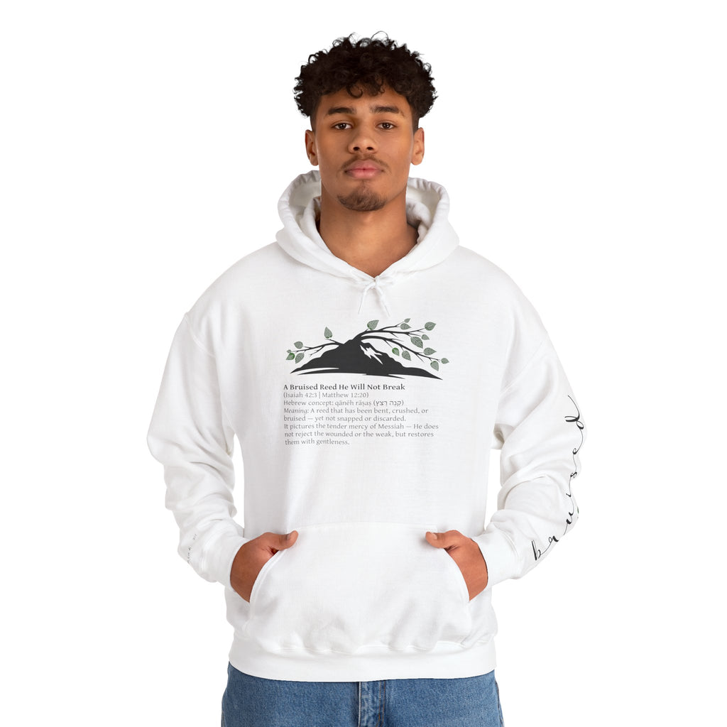 Faith Hoodie “Bruised But Not Broken” – Isaiah 42:3 + 2 Corinthians 4:9, Christian Sweatshirt of Hope and Resilience