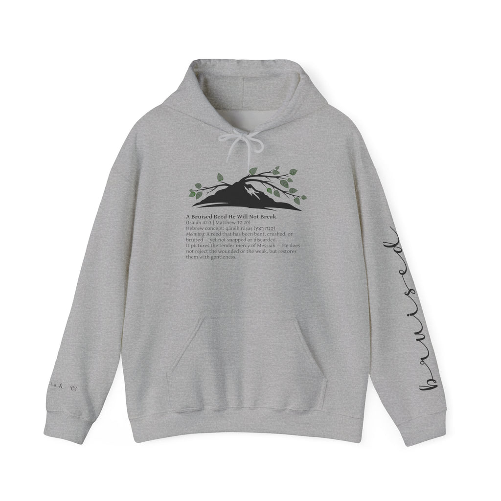Faith Hoodie “Bruised But Not Broken” – Isaiah 42:3 + 2 Corinthians 4:9, Christian Sweatshirt of Hope and Resilience