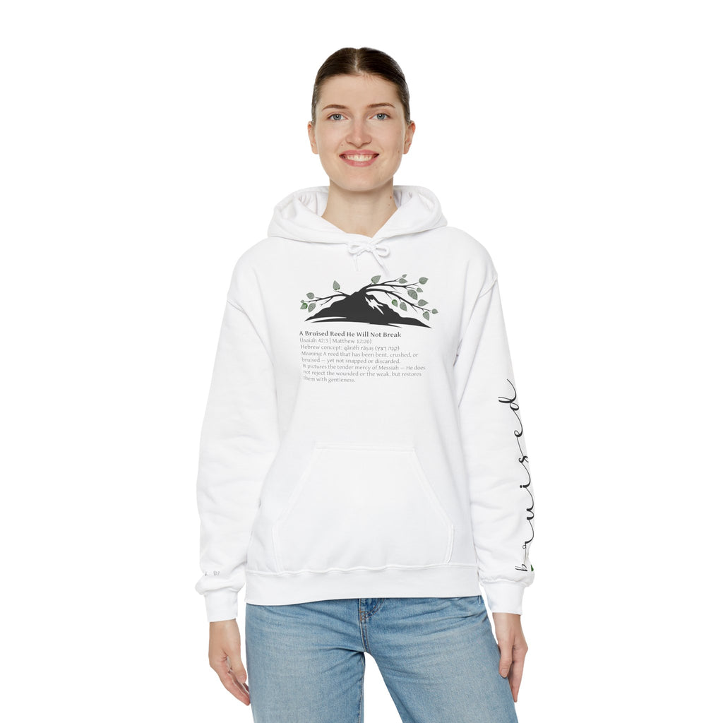 Faith Hoodie “Bruised But Not Broken” – Isaiah 42:3 + 2 Corinthians 4:9, Christian Sweatshirt of Hope and Resilience