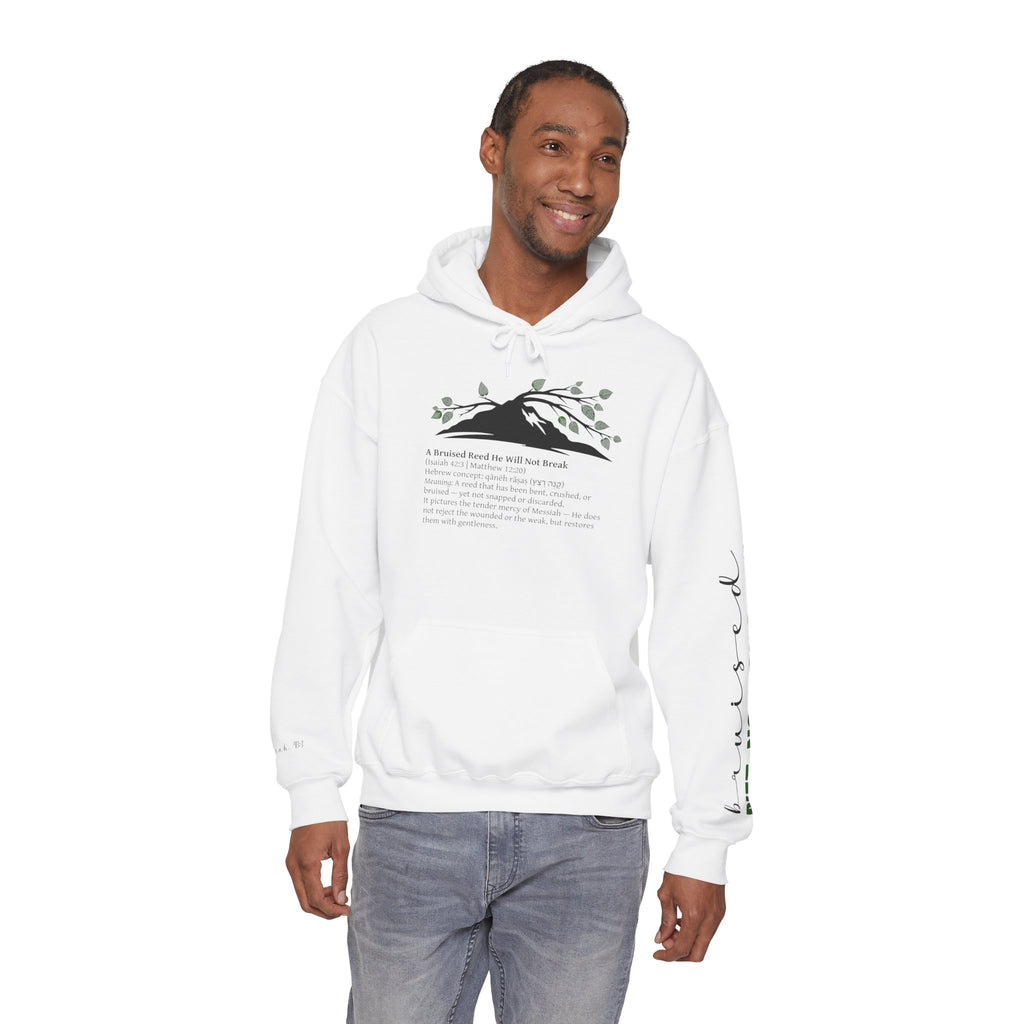 Faith Hoodie “Bruised But Not Broken” – Isaiah 42:3 + 2 Corinthians 4:9, Christian Sweatshirt of Hope and Resilience